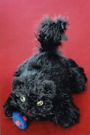 Here Kitty Kitty Leaflet Ft-219