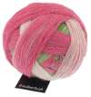 Zauberball 4ply 100gms 2079 Garden Flower