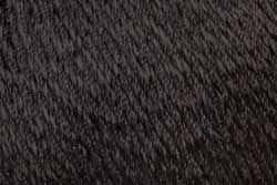 Brisa 5ply 50gms 2 Black