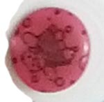 Terries 15mm S8147 68 Shank Teddy Bear Pink