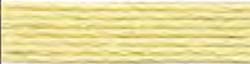 Stranded Skein 8m 0292