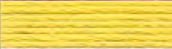 Stranded Skein 8m 0305