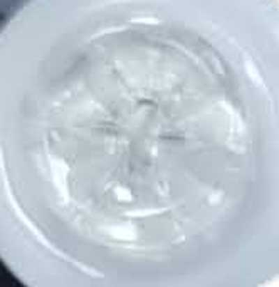 Terries 15mm S7747 75 White Clear Flower