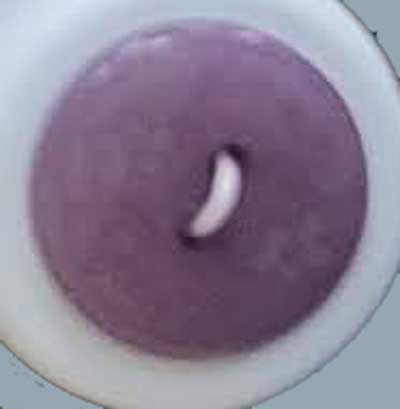 Terries 18mm S8082 83 2 Hole Laser Floral Mauve