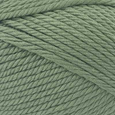 Peppin 14ply Fine Merino 100gms 1420 Forest